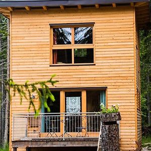 Forest Chalet Resort Felizitas